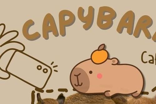 Bạn trẻ hào hứng check-in quán cà phê với 'nhân viên' là những chú chuột Capybara
