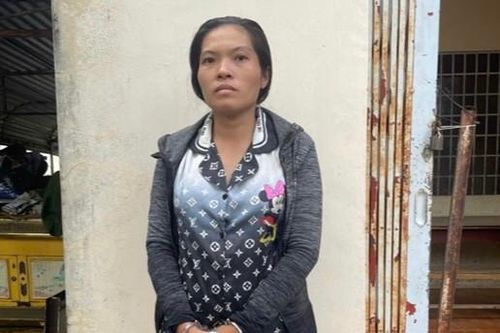 Hậu Giang: Bắt đối tượng lừa người dân có nhu cầu lao động ở nước ngoài