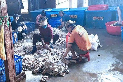 Điều tra 4 tấn mỡ, nội tạng heo không rõ nguồn gốc tại Biên Hòa