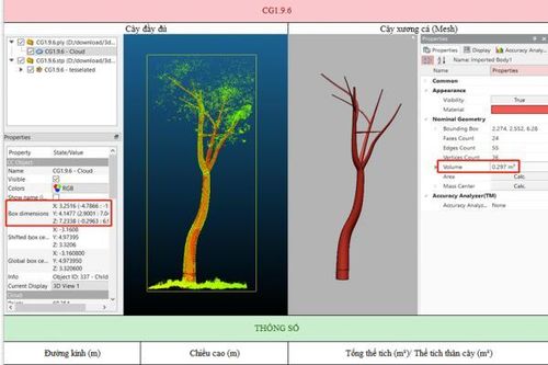 Petrovietnam phối hợp với WIP nghiên cứu trồng 15 loại cây hấp thụ CO2 cao