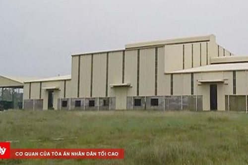 Không khám bệnh nghề nghiệp cho công nhân, một Công ty bị xử phạt