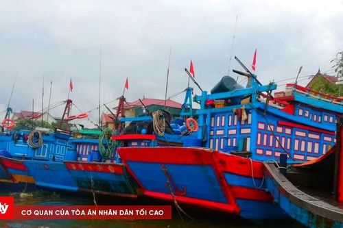 Cần đảm bảo nơi neo đậu, tránh trú bão cho tàu thuyền ngư dân