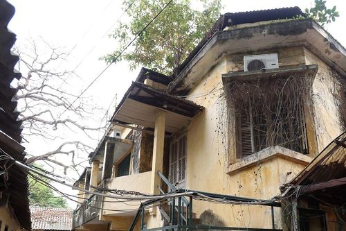 Lại bàn cách cứu 'cô gái đẹp hấp hối'