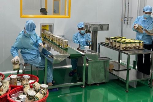 Hằng Thuận Tây Nguyên - 9 năm nỗ lực nâng tầm nông sản Kon Tum