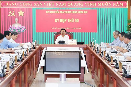 Ủy ban Kiểm tra Trung ương kỷ luật khiển trách Chủ tịch và Phó Chủ tịch VCCI