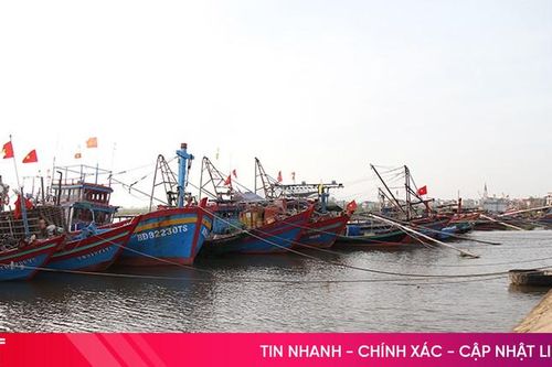 Tàu thuyền của Hà Tĩnh cơ bản đang neo đậu, không ra khơi