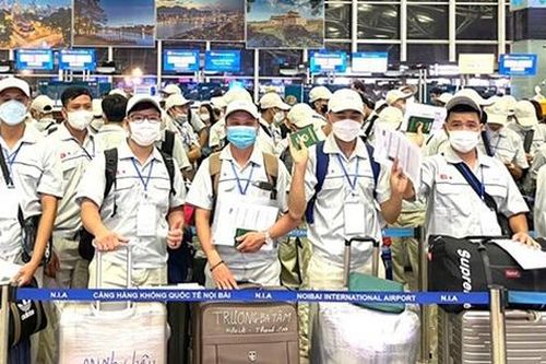 Thông tin cảnh báo cho những người đi xuất khẩu lao động