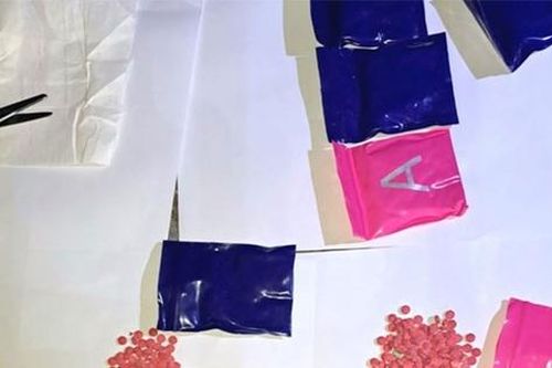 Công an Thanh Hóa bắt giữ 9 đối tượng tàng trữ, mua bán ma túy