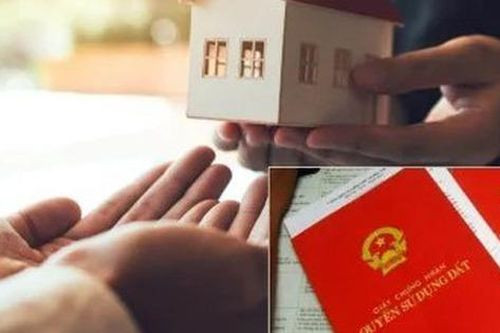 Con dâu có quyền trong việc chia đất của gia đình không?
