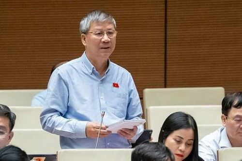 Đại biểu Quốc hội đề nghị có cơ chế khuyến khích, nâng cao vai trò của phụ nữ trong phòng chống ma túy
