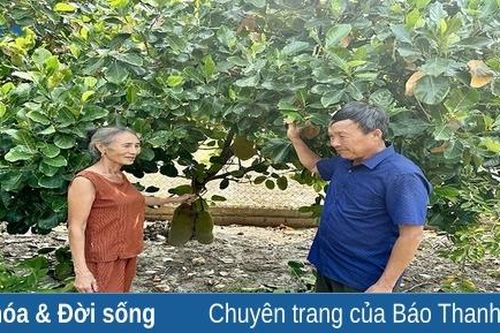 Chị Cảo làm kinh tế giỏi
