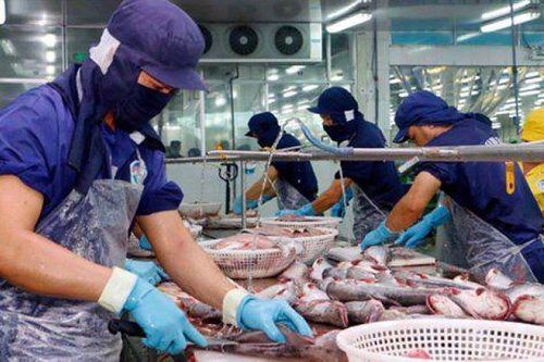 Tác động kép với doanh nghiệp xuất khẩu khi ông Trump tái đắc cử