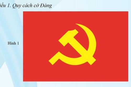 Sử dụng cờ Đảng đúng quy định