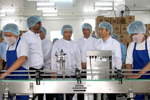 Tạo sức bật cho chương trình khởi nghiệp tỉnh nhà