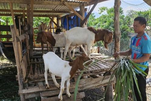 Vượt khó làm kinh tế