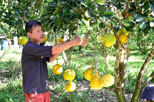 Yên Lương nỗ lực thoát nghèo