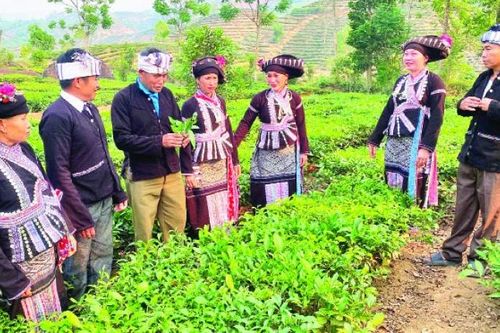 Đổi thay ở vùng cao Nậm So