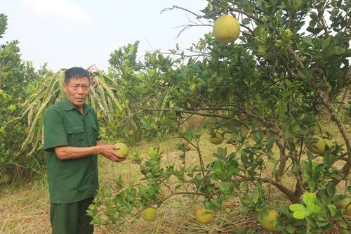 Người có uy tín làm kinh tế giỏi