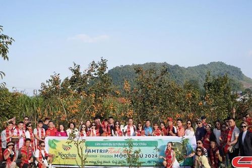 Chương trình Famtrip 'Tinh hoa Mộc Châu 2024'