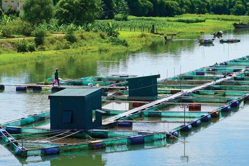 Lắng nghe để gỡ khó