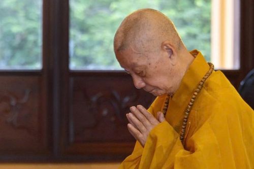 Trồng căn lành và sám hối