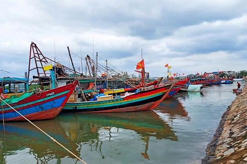 Hà Tĩnh: Chủ động ứng phó với bão số 8