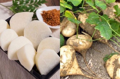 Loại củ bán đầy ngoài chợ vào mùa đông giá rẻ như cho bổ hơn 'nhâm sâm tổ yến'