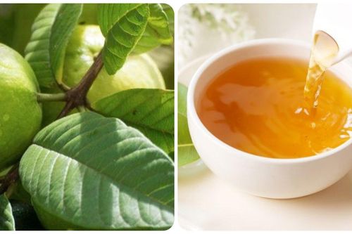 Lá ổi có lợi ích gì đối với sức khỏe?