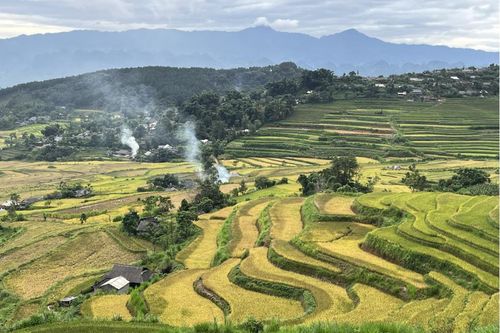 Tả Lèng mùa vàng: Bức tranh thiên nhiên hòa quyện nét đẹp lao động người Mông