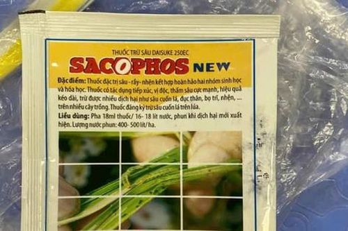 Cứu sống nam thanh niên ngộ độc thuốc trừ sâu