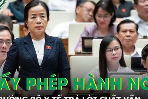Bộ trưởng Đào Hồng Lan trả lời vấn đề 'một người có nhiều giấy phép hành nghề'
