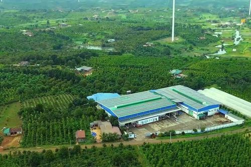 Đắk Nông canh tác cây hồ tiêu bền vững để giảm phát thải khí nhà kính