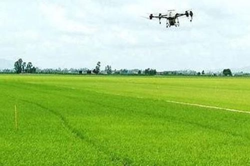 Nhiều xu hướng mới trong sử dụng thuốc BVTV an toàn cho cây trồng