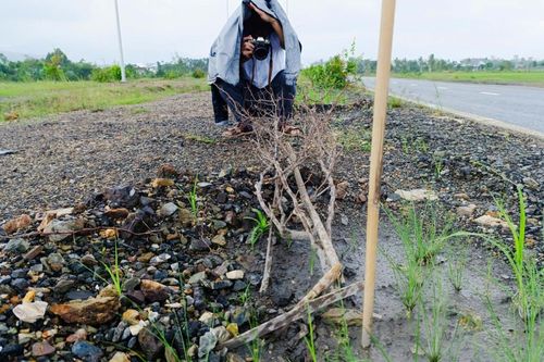 'Củi' trên đường nghìn tỷ