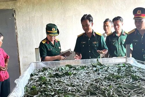 Đoàn Kinh tế Quốc phòng Lâm Đồng hỗ trợ hàng trăm hộ dân thoát nghèo