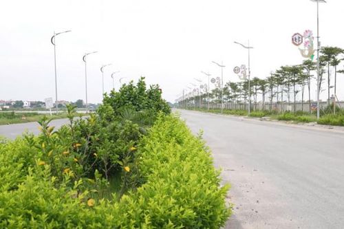 Bắc Ninh: Hoàn thành cơ bản hạng mục hạ tầng kỹ thuật Khu công nghiệp Gia Bình II