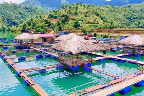 Trải nghiệm '5 sao' ở làng cá Thẩm Phé