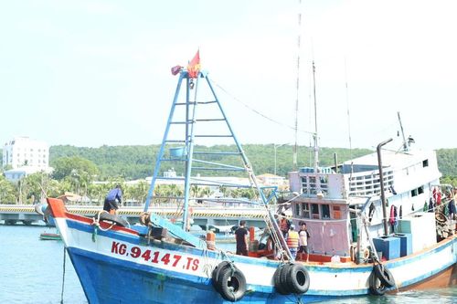 BTL Vùng Cảnh sát biển 4 bắt giữ tàu cá vi phạm quy định về chống khai thác IUU