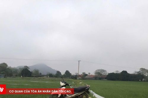 Trộm cắp tài sản, hai thanh niên lĩnh án