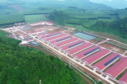 Khởi sắc Tân Kỳ