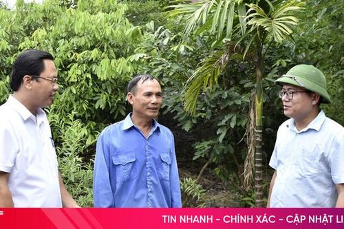Tiếp tục nâng cao năng lực và hiệu quả hoạt động của hệ thống chính trị cơ sở xã, phường, thị trấn