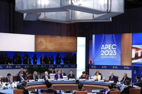 Việt Nam để lại nhiều dấu ấn đậm nét trong hợp tác APEC