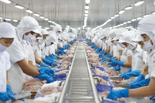 Doanh thu từ thị trường Mỹ của Vĩnh Hoàn tăng vọt