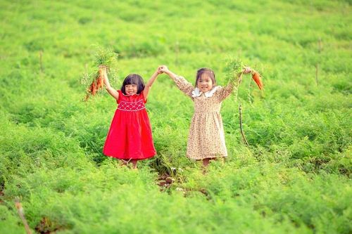 Lâm Đồng: 'Thời cơ vàng' để doanh nghiệp phát triển du lịch canh nông