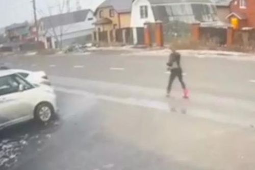 Người phụ nữ mất tích sau khi gặp chục con chó hoang, cảnh tượng sau đó khiến ai cũng run rẩy