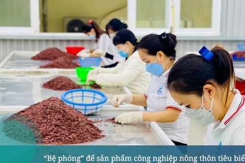 'Bệ phóng' để sản phẩm công nghiệp nông thôn tiêu biểu vươn xa