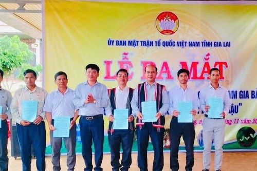 Ra mắt mô hình điểm về bảo vệ môi trường, ứng phó với biến đổi khí hậu tại làng Kon Chrah
