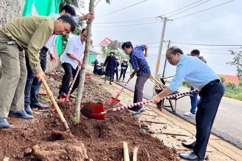 Di Linh triển khai hiệu quả mục tiêu trồng 4,9 triệu cây xanh
