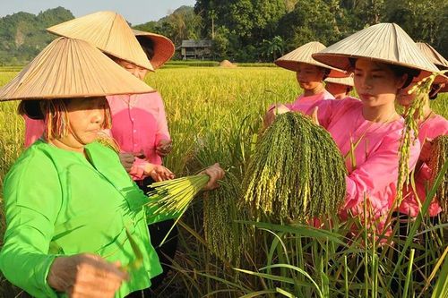 Lục Yên khôi phục sản xuất sau thiên tai