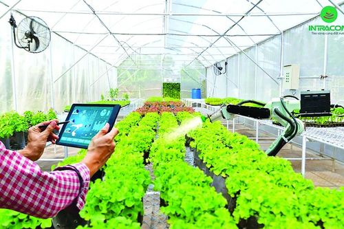 Đẩy mạnh cho vay nông nghiệp công nghệ cao